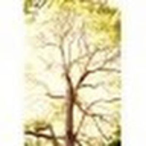 Meet your Posher, Jess